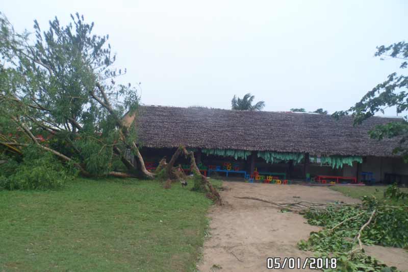Tropical Cyclone Ava Damages Trees