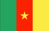 flag_cameroon