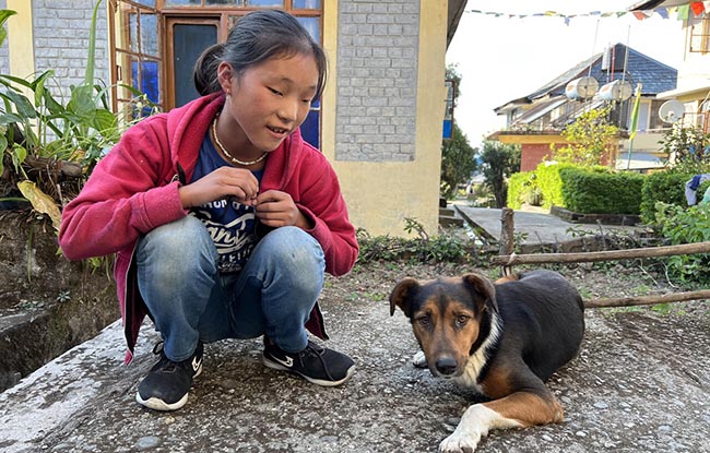 Tibet Dog