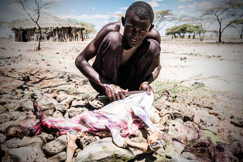 In Maikona, a young man slaughters the last goat from his family’s herd 