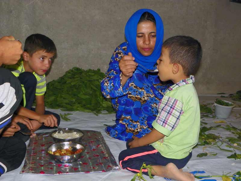 Mother feeding children in Syria