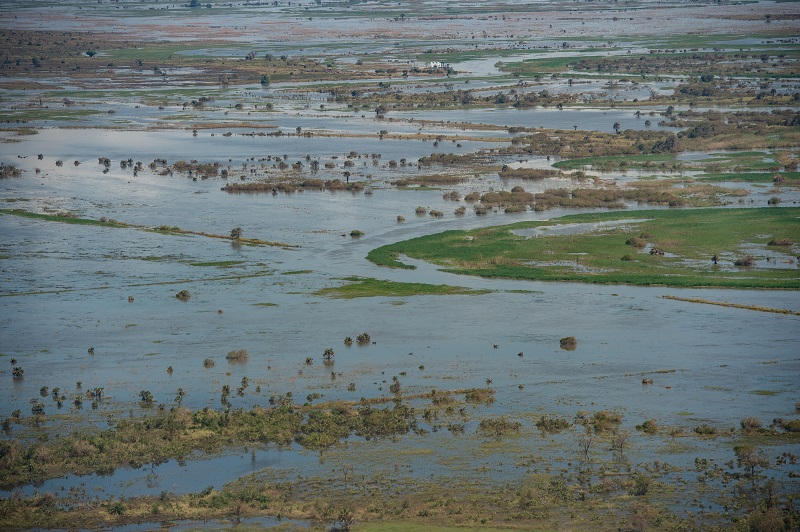 Flooded farmland in Mozambique