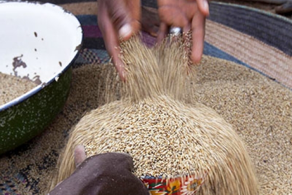 Burkina Faso food challenges