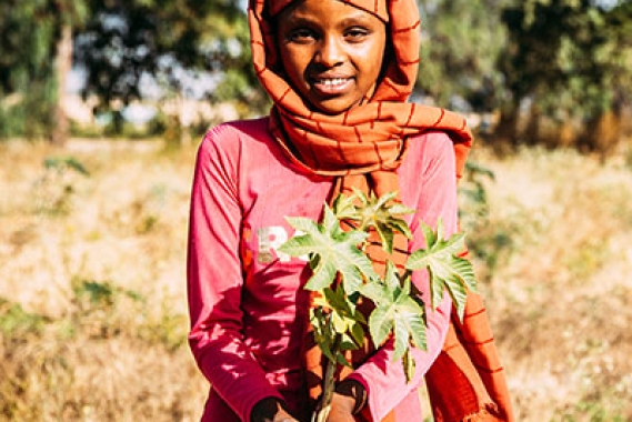 Ethiopia Climate change