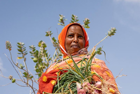 Drought in Somaliland
