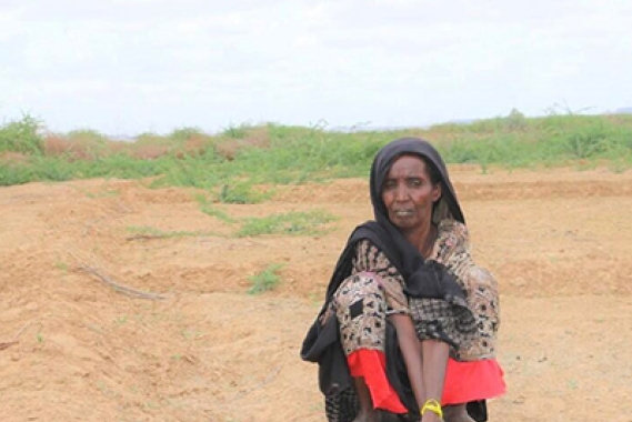 Famine dans la Corne de l'Afrique