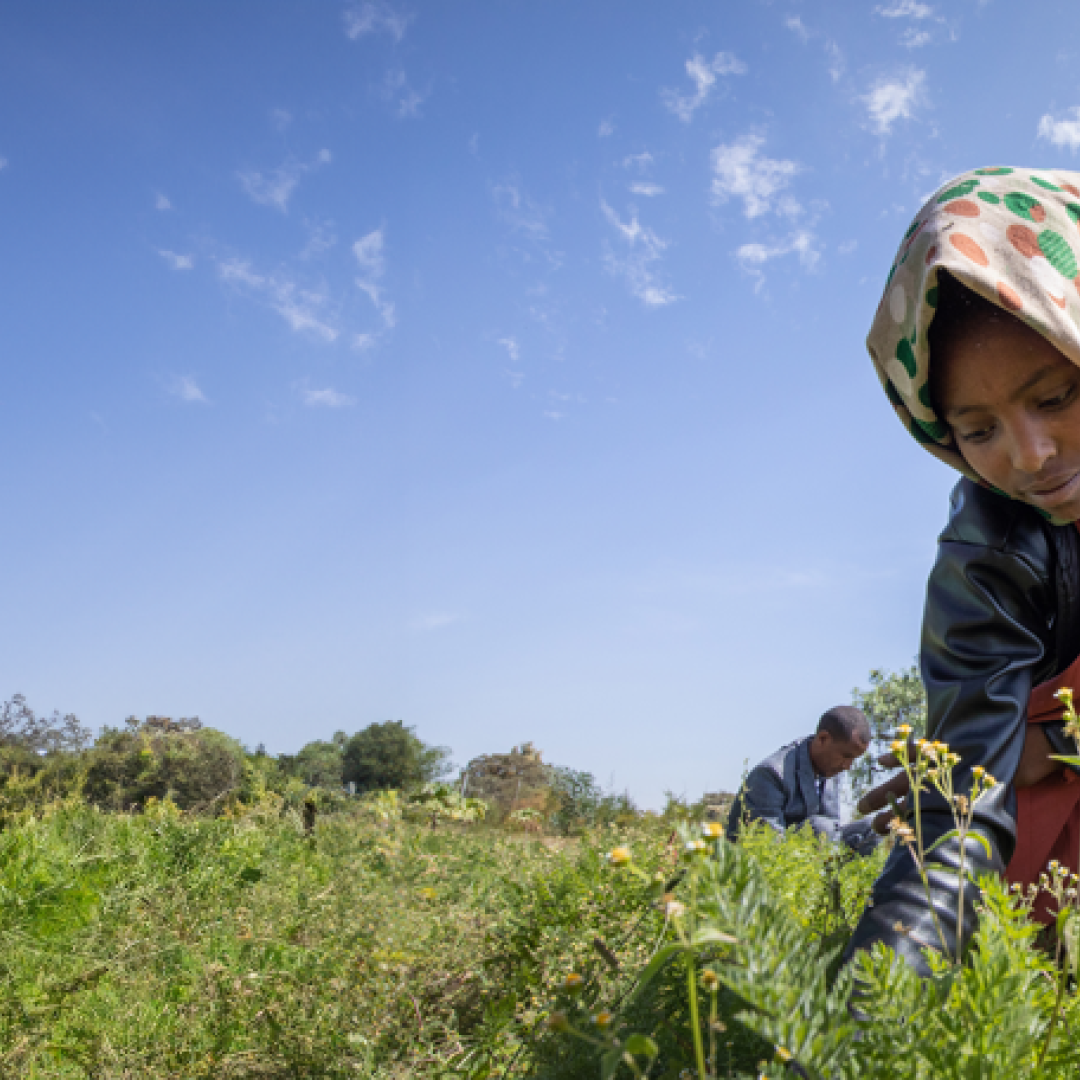 A young girl working in the garden