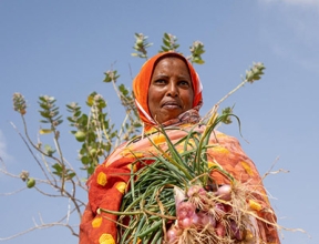 Drought in Somaliland