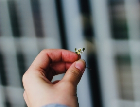 Fille_holding_flower