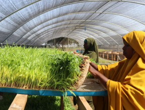 somalia_climate_news