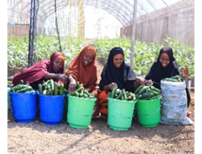 somalia_climate_smart_news