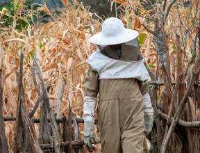 Amanuel, wearing protective beekeeping gear, walking through the Gulele Botanic Center, Ethiopia, to his beehives.