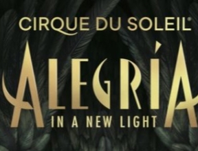 Bannière Cirque du Soleil Alegria