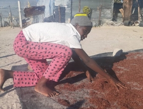 Laeticia* spreads out fresh sorghum in preparation to sell it.