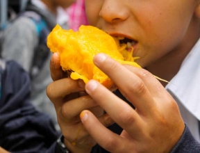 Oscar eating a mango