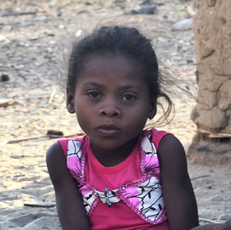 Madagascar food insecurity