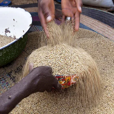 Burkina Faso food challenges
