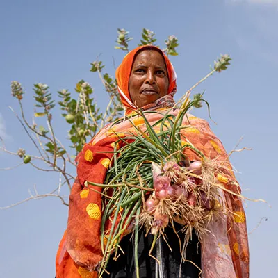 Drought in Somaliland