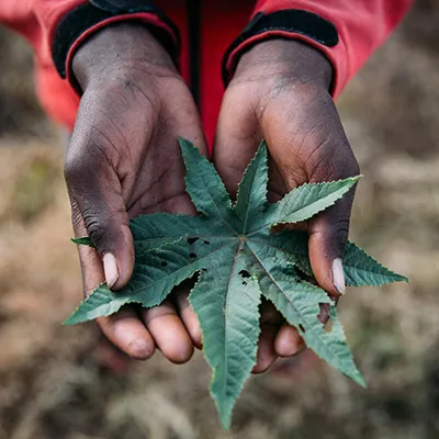 Climate Change and food security