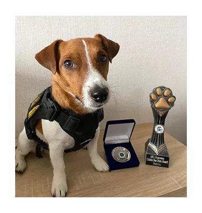 Patron_with_Golden_Paw_award