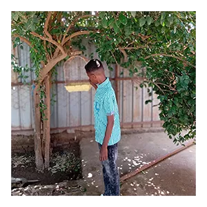 Sudan_conflict _2024_300