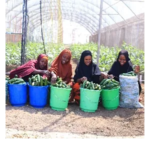 somalia_climate_smart_news