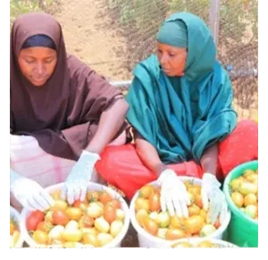 somalia_climate_smart_news_2