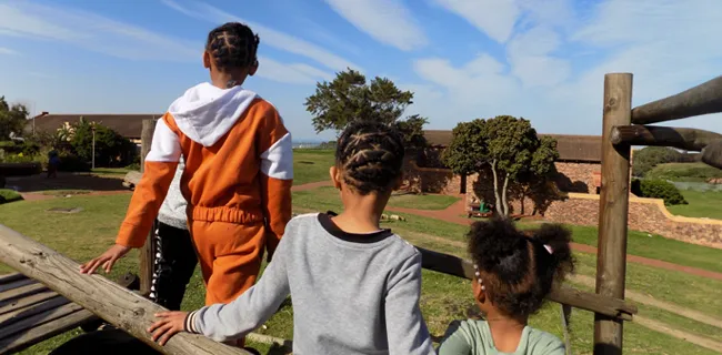 South Africa home repairs 2026