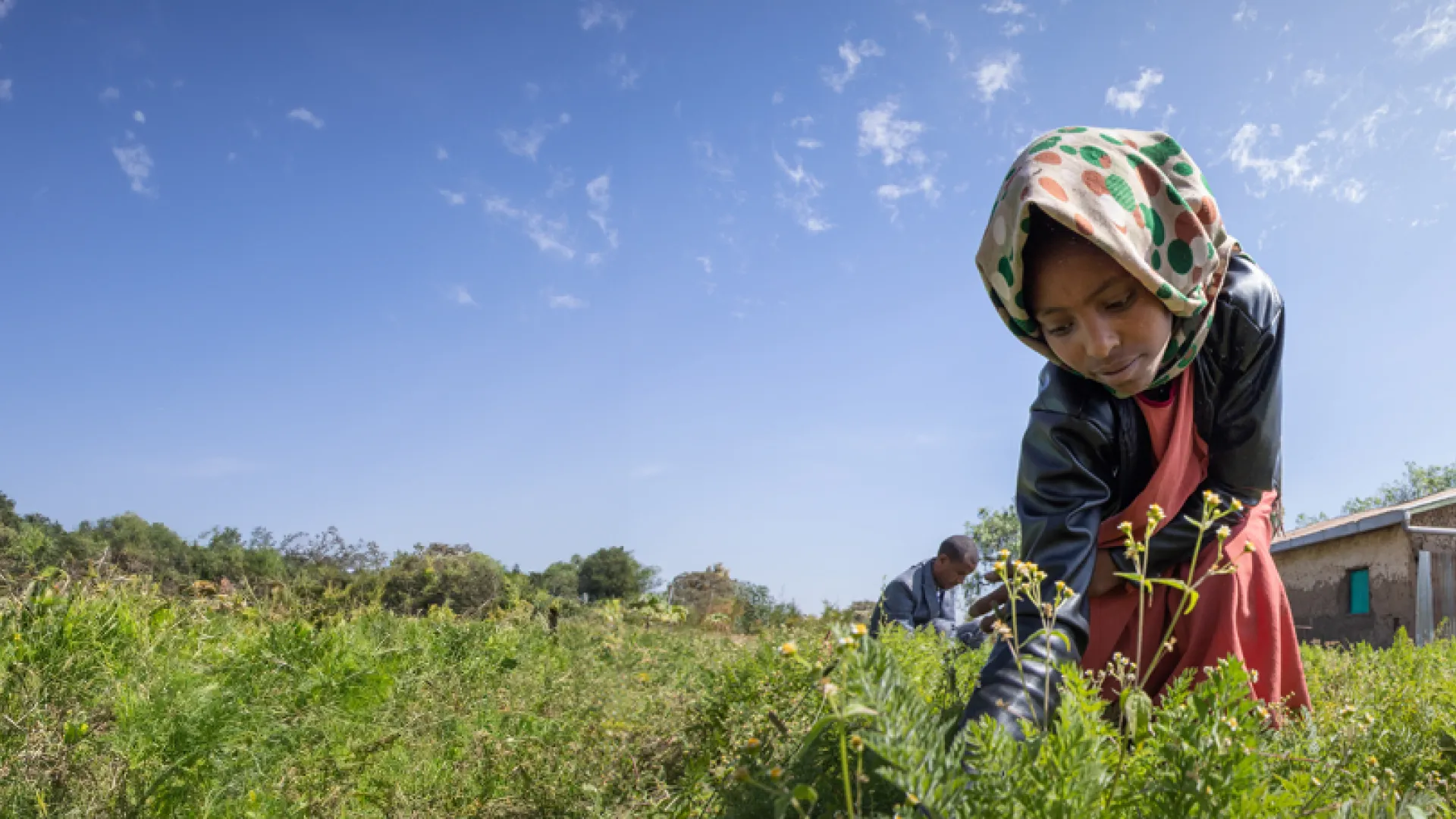 A young girl working in the garden