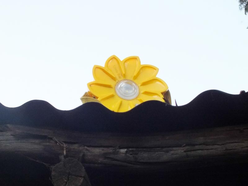 Sun light solar roof charger